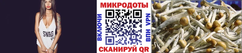 Псилоцибиновые грибы MAGIC MUSHROOMS  Купить закладки  Торжок 
